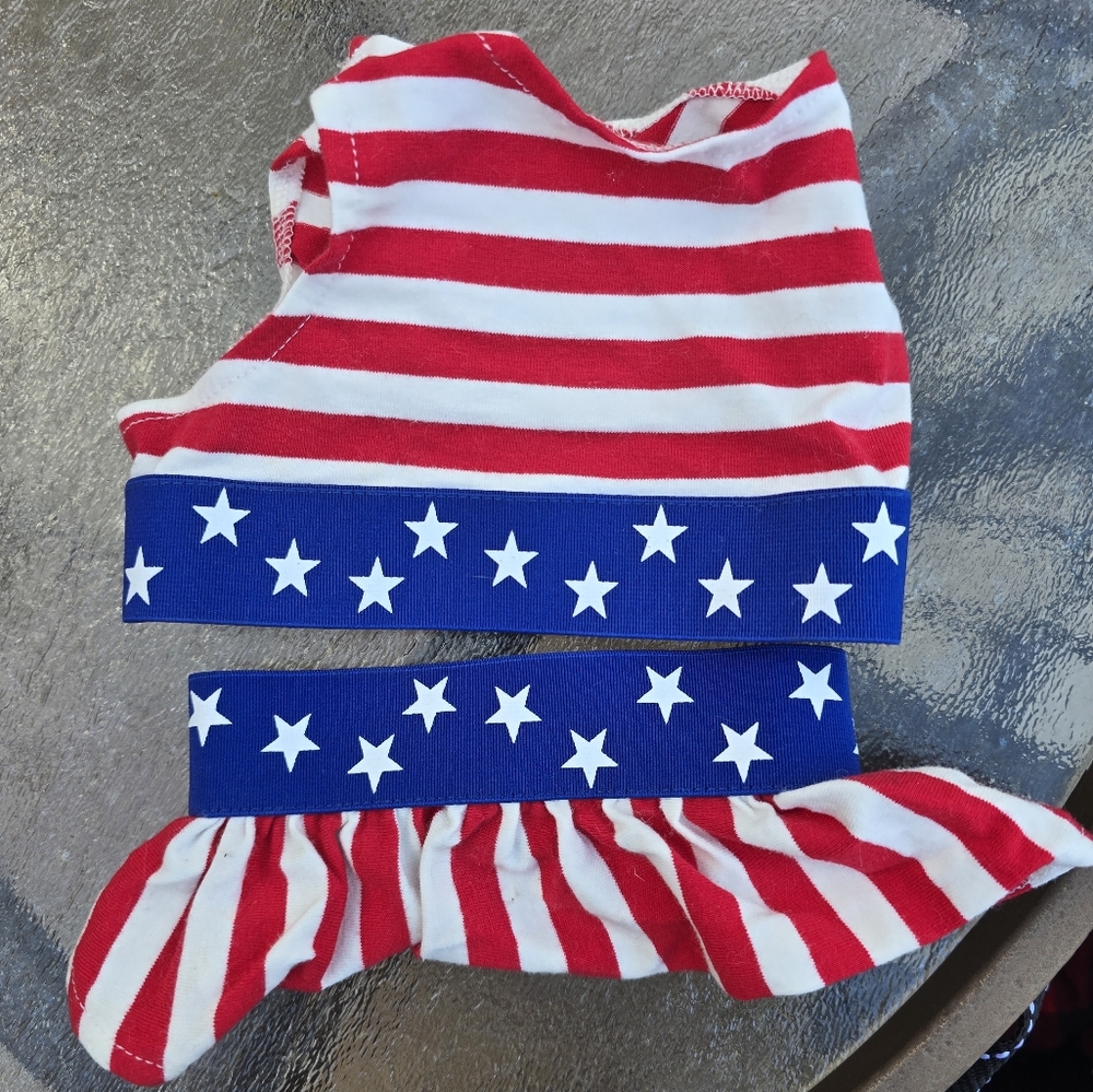 Flag  2 piece dog bathing suit